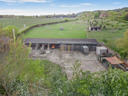 Yard and Outbuildings