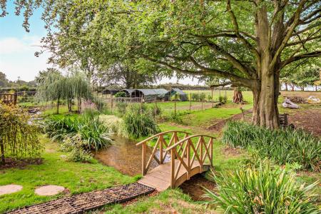 Stream & animal enclosures