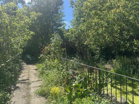 2 garden.jpg.jpeg