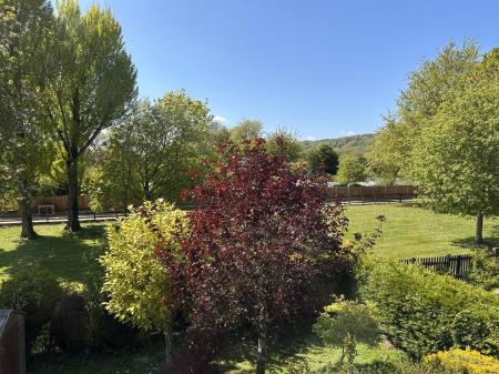 View out back.jpg