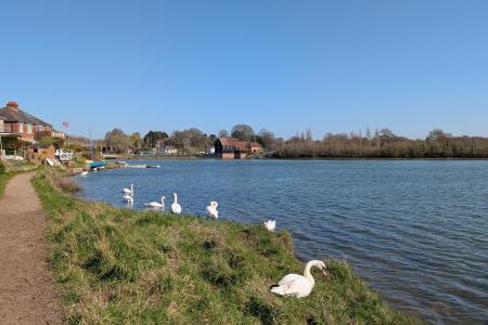 FAREHAM CREEK