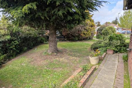 SIDE GARDEN