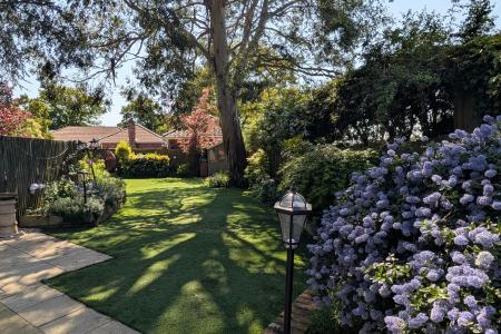 GARDEN