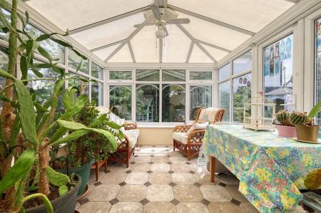 img_0988_10 copy 2.jpg