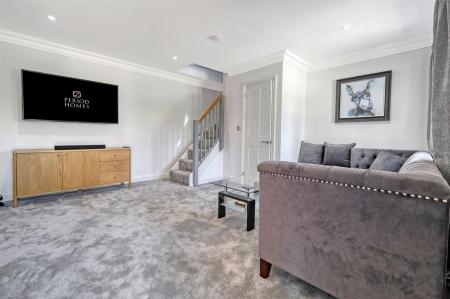 img_9558_22 copy 2.jpg