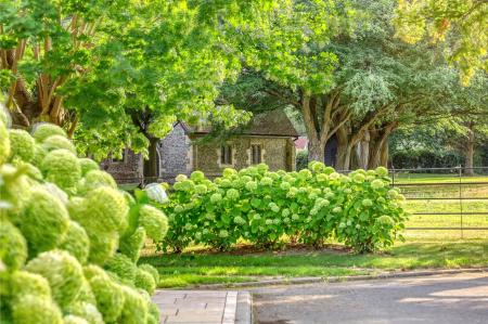 img_7522_20 copy.jpg