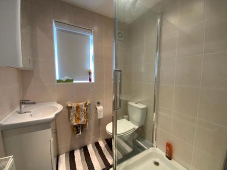GROUND FLOOR SHOWER ROOM
