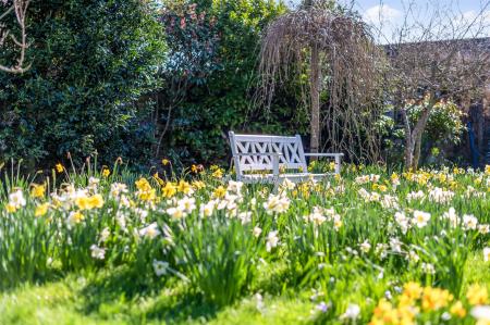 sketch_Ph1_6428127 copy.jpg