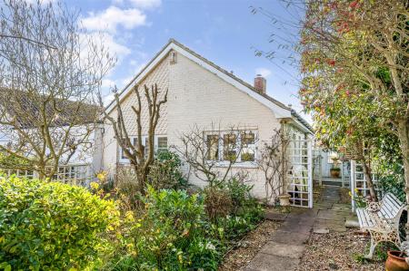 sketch_Ph24_6428152 copy.jpg