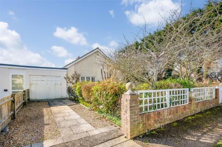 sketch_Ph19_6428146 copy.jpg