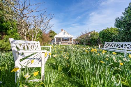 sketch_Ph22_6428150 copy.jpg