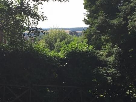 New photo 1 Aug 24.jpg