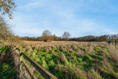 The Homestead-27.jpg