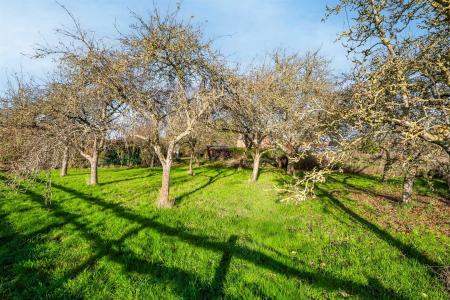 The Homestead-26.jpg