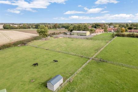Yew Tree WEB PH-9.jpg