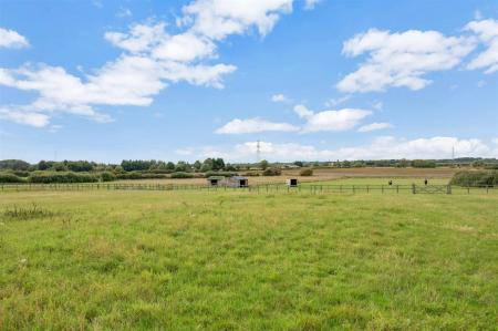 Yew Tree WEB PH-38.jpg