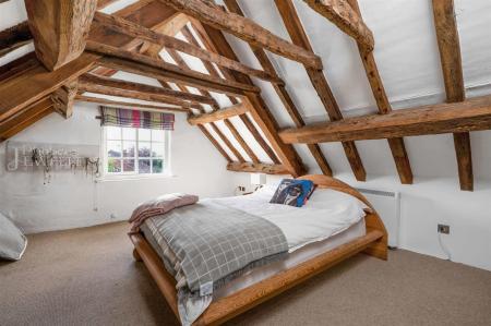 Yew Tree WEB PH-76.jpg