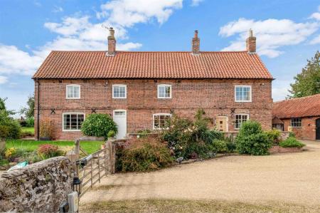 Yew Tree WEB PH-21.jpg