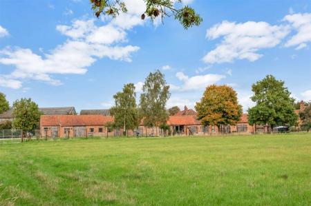 Yew Tree WEB PH-43.jpg