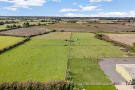 Yew Tree WEB PH-6.jpg