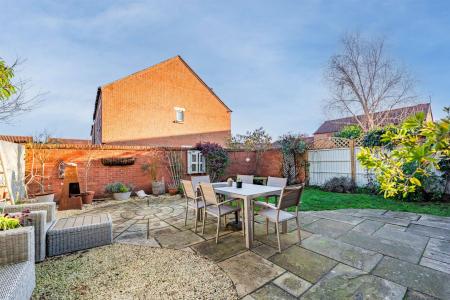 1 Whipling Close-3.jpg