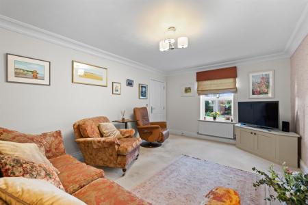 1 Whipling Close-15.jpg