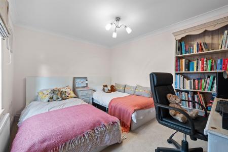 1 Whipling Close-21.jpg