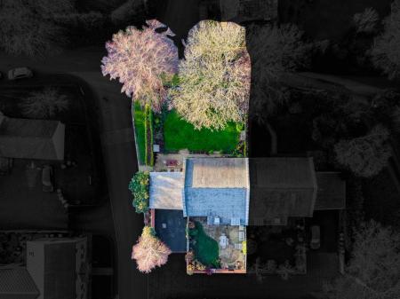 1 Whipling Close-12.jpg