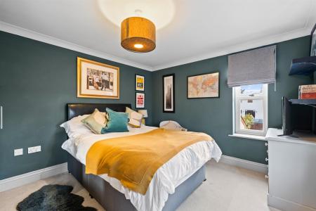 1 Whipling Close-23.jpg