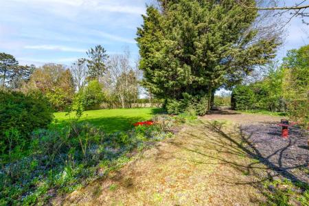 The Corner House-3.jpg