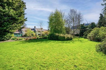 The Corner House-6.jpg