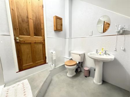 IMG_3631.JPG