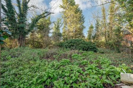 Land at Winthorpe WEB PH-25.jpg