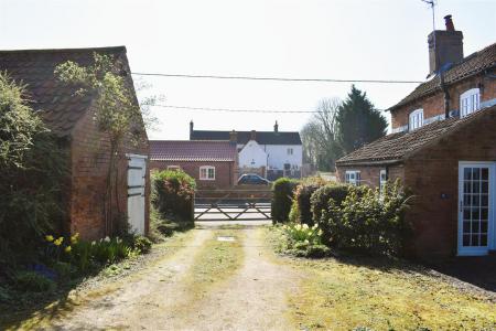 Driveway and Gardens