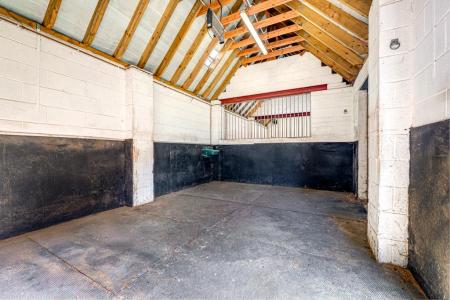 STABLE ONE