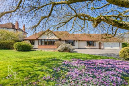 2da29577-f705-4868-aa1b-e73f4fef3d66 (1).png