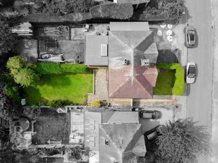 DJI_0919.jpg