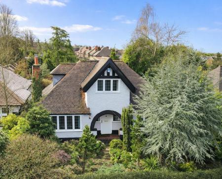 9d44d3a3-9e09-4a5f-b49c-57e2272d35a5 copy.png