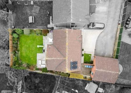 DJI_0553.jpg