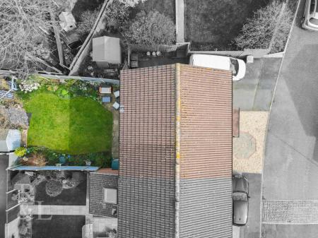 DJI_0596-2.jpg