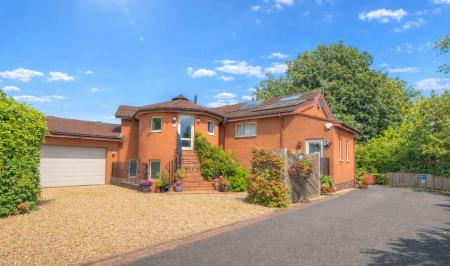 b8a14cd5-1f0a-4dfe-af6c-8a610c2ce2fa copy.png