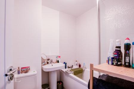 b (2).jpg