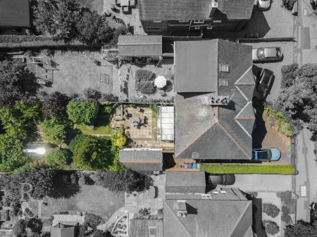 DJI_0081.jpg