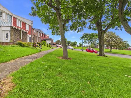 Surrounding Area