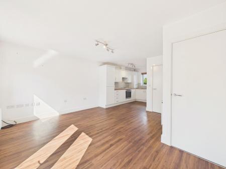 Lounge/Kitchen
