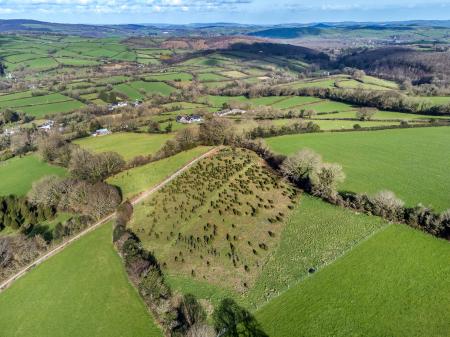 Buckfastleigh , Devon