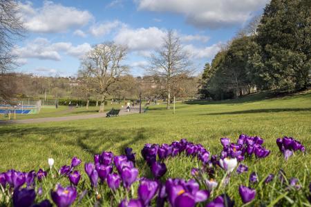 hoveparkspring2022009