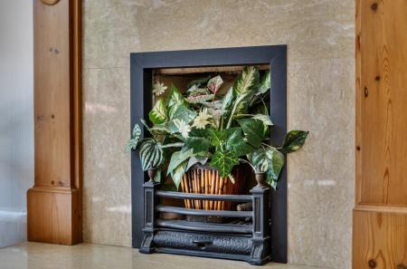 Feature Fireplace