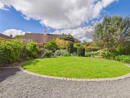 Lawn