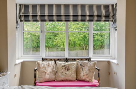 Bay Window